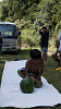 camp28 (575)_thumb.png